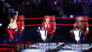 The Voice Season 9 Episode 2