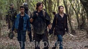 The Walking Dead Season 10 Episode 17