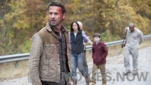 The Walking Dead Season 2 Episode 13