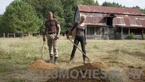 The Walking Dead Season 2 Episode 8