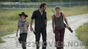 The Walking Dead Season 3 Episode 9