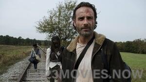 The Walking Dead Season 4 Episode 15