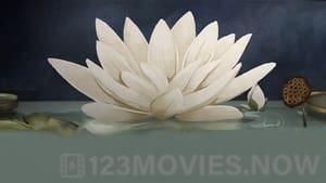 The White Lotus