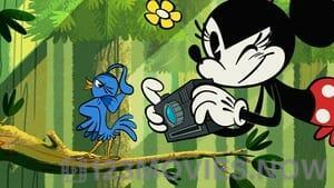 The Wonderful World of Mickey Mouse Season 1 Episode 14