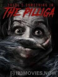 There’s Something in the Pilliga