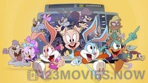 Tiny Toons Looniversity