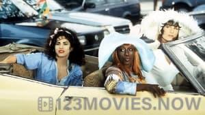 To Wong Foo Thanks for Everything, Julie Newmar