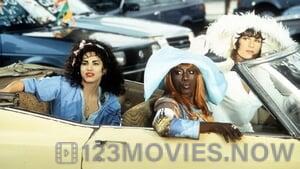 To Wong Foo Thanks for Everything, Julie Newmar