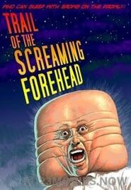 Trail of the Screaming Forehead