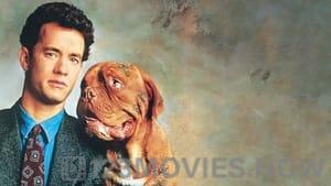 Turner & Hooch