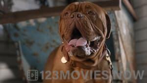 Turner & Hooch Season 1 Episode 12