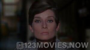 Wait Until Dark